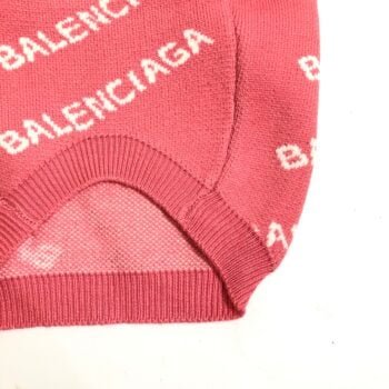 Pull pour chien Balenciaga - 2025 - Vêtement et accessoires pour chiens - Doglovedesign