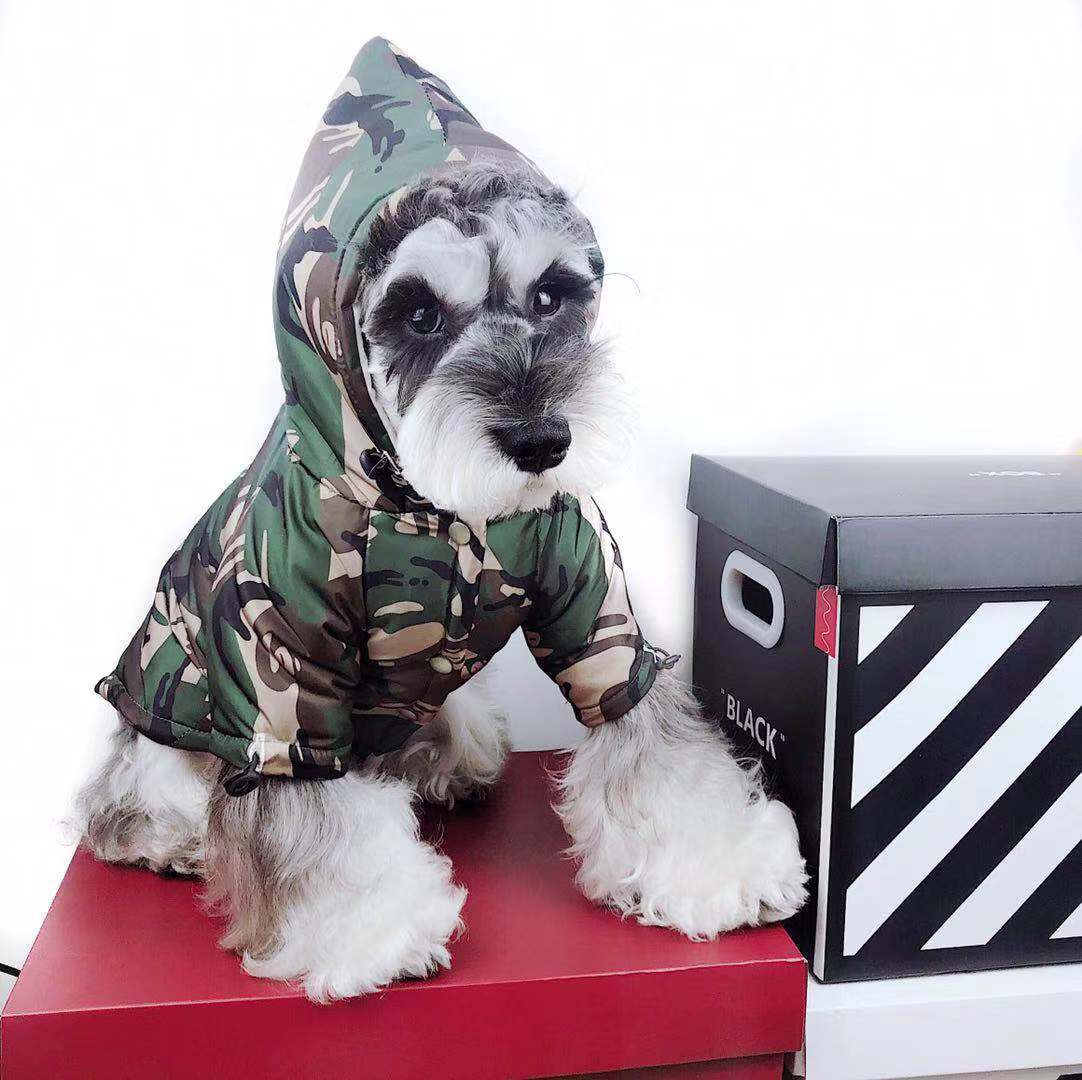 Sweat à capuche pour chien Bape | 2024