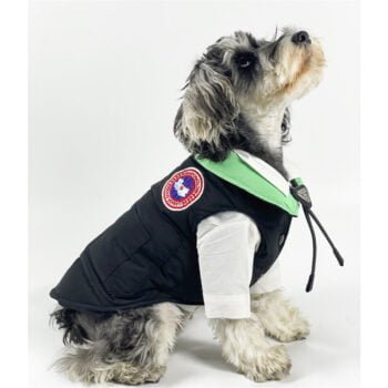 Veste pour chien Canada Goose | 2024