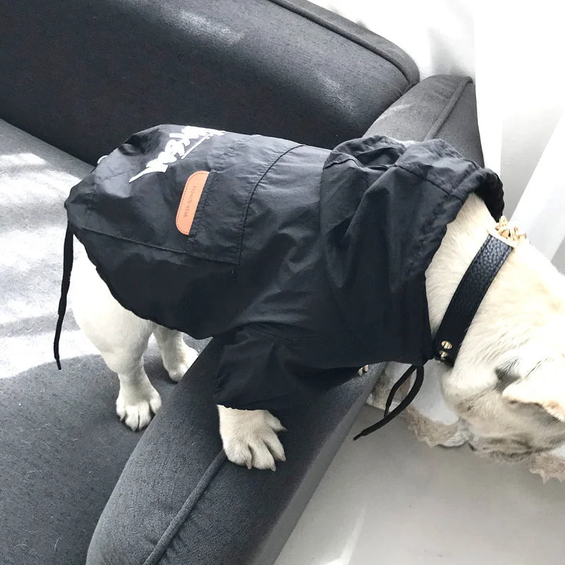 Sweat à capuche pour chien Stussy | 2023