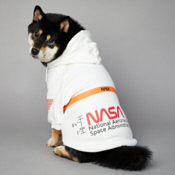 Sweat à capuche pour chien Nasa | 2024