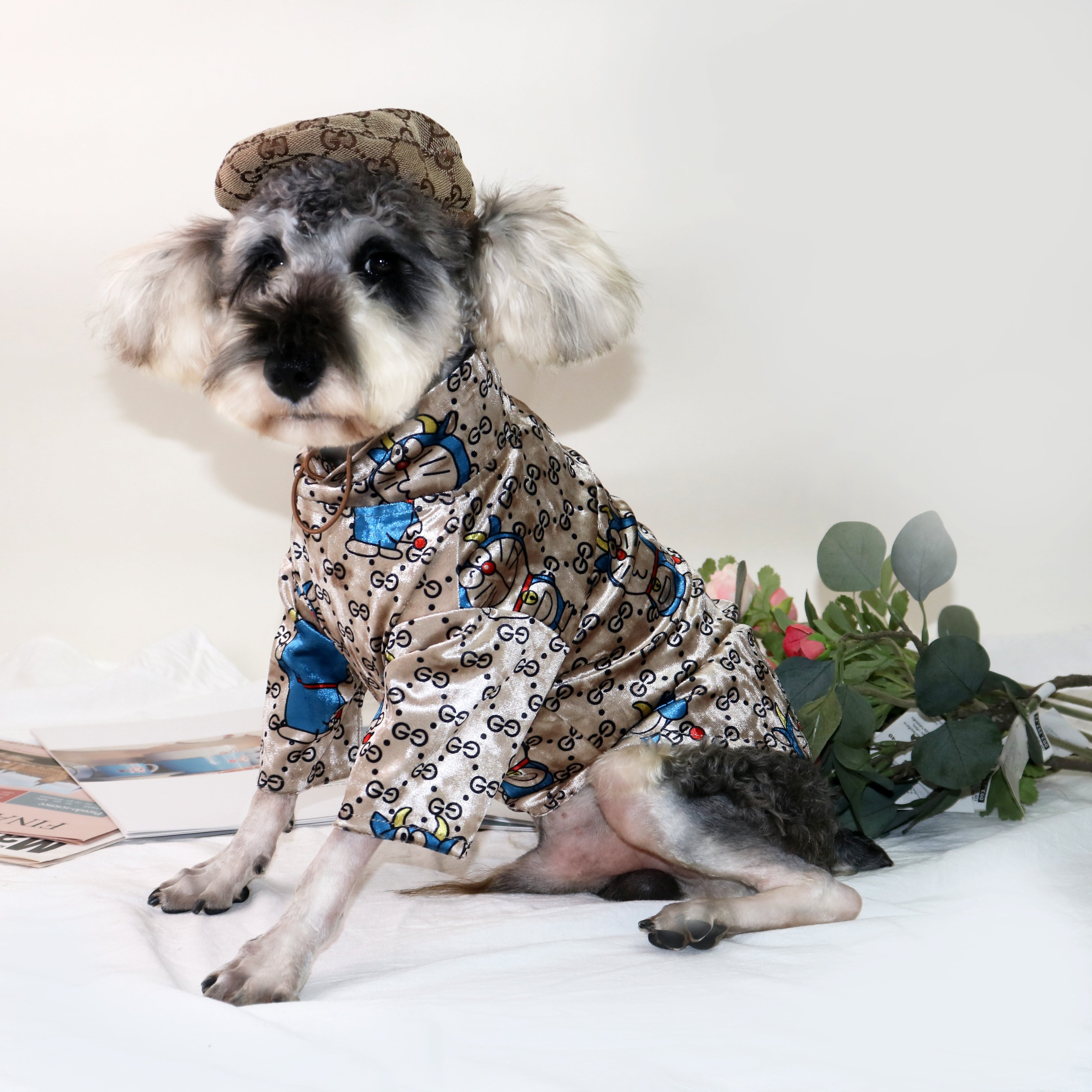 T-shirt pour chien Gucci | 2024