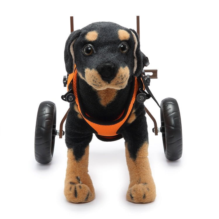 Harnais pour chiens handicapé pattes arrière | 2023