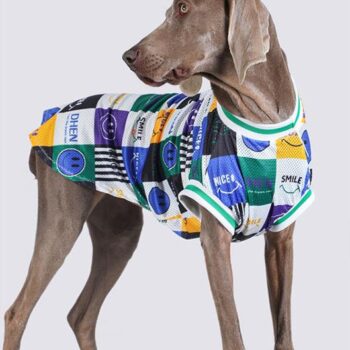 Vêtements Grands Chiens - 2025 - Vêtement et accessoires pour chiens - Doglovedesign