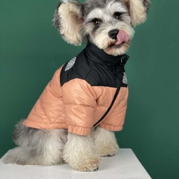 Veste pour chien The North Face | 2024