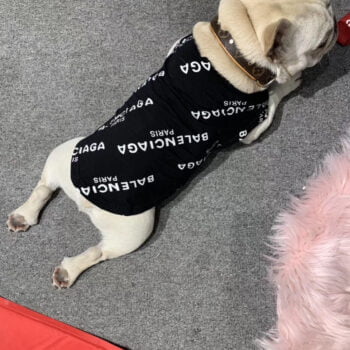 Gilet sans manches pour chien Balenciaga - 2025 - Vêtement et accessoires pour chiens - Doglovedesign