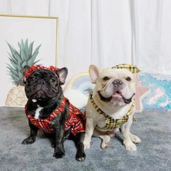 Robe Burberry Luxe pour Chiens | 2024