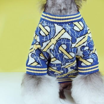 Pull pour chien Burberry | 2024