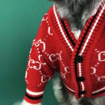 Pull pour chien Gucci | 2024