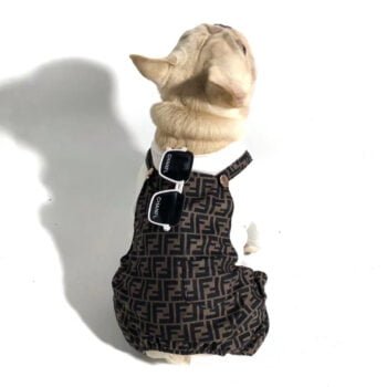 Combinaison Gucci pour chien | Vêtements de luxe pour chiots | 2024