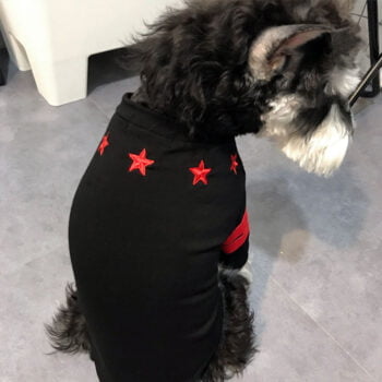 T-shirt pour chien Givenchy | 2025