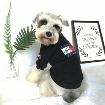 Sweat-shirt pour chien Tommy | 2024