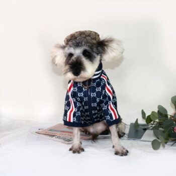Veste pour chien Pawcci - 2025 - Vêtement et accessoires pour chiens - Doglovedesign