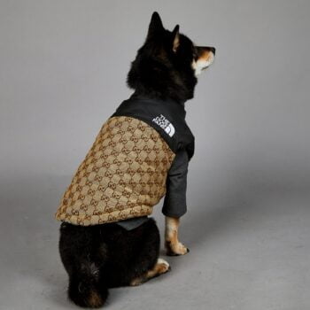 Veste pour chien Pawcci - 2025 - Vêtement et accessoires pour chiens - Doglovedesign