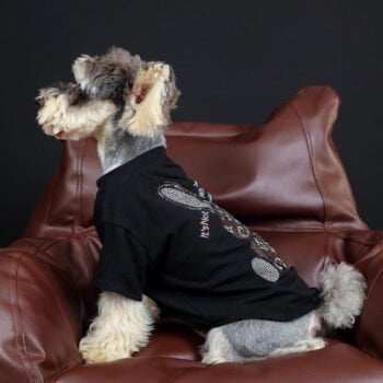 T-shirt pour chien Louis Pawtton | 2024