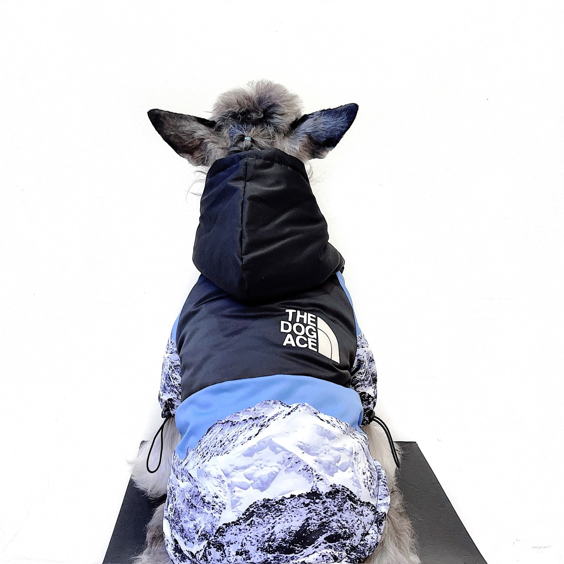 Veste pour chien The North Face - 2025 - Vêtement et accessoires pour chiens - Doglovedesign