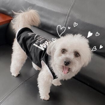 Gilet sans manches pour chien Nike x Stussy | 2024