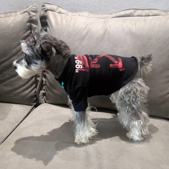 T-shirt pour chien Off-White | 2024