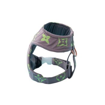 Collier et Harnais Pawtton pour Chiens - 2025 - Vêtement et accessoires pour chiens - Doglovedesign