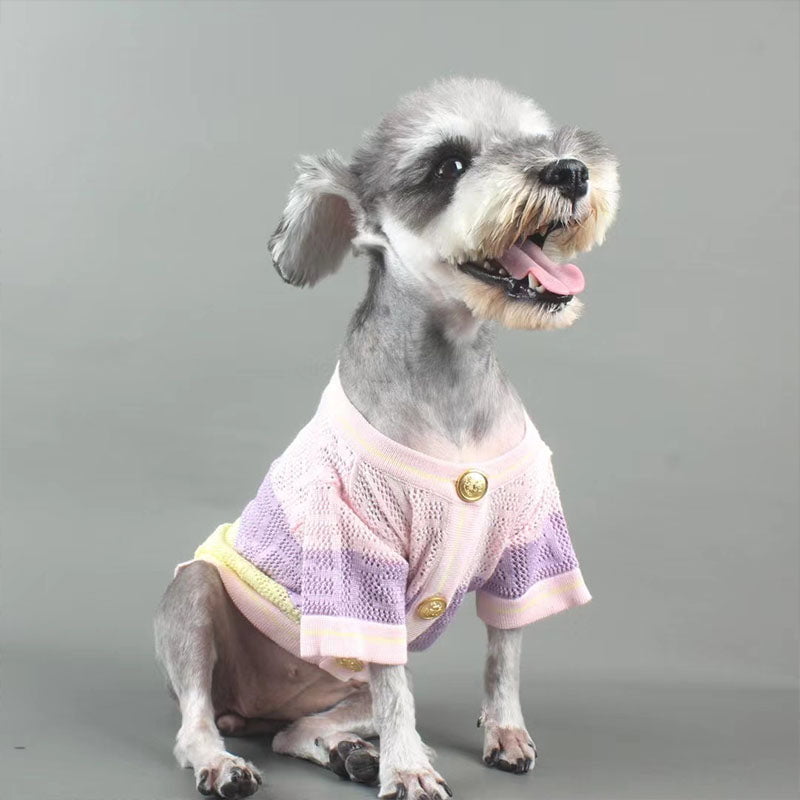 Pull pour chien Fendi | 2024