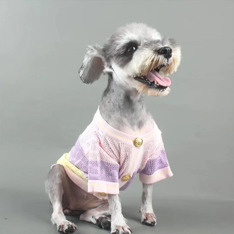 Pull pour chien Fendi | 2024