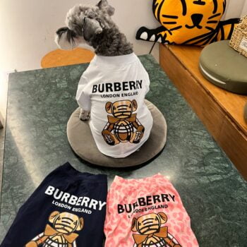 T-shirt pour chien Burberry | 2024