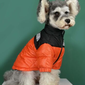 Veste pour chien The North Face | 2024