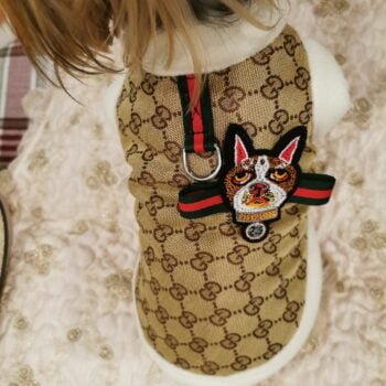 Veste pour chien Gucci | 2024