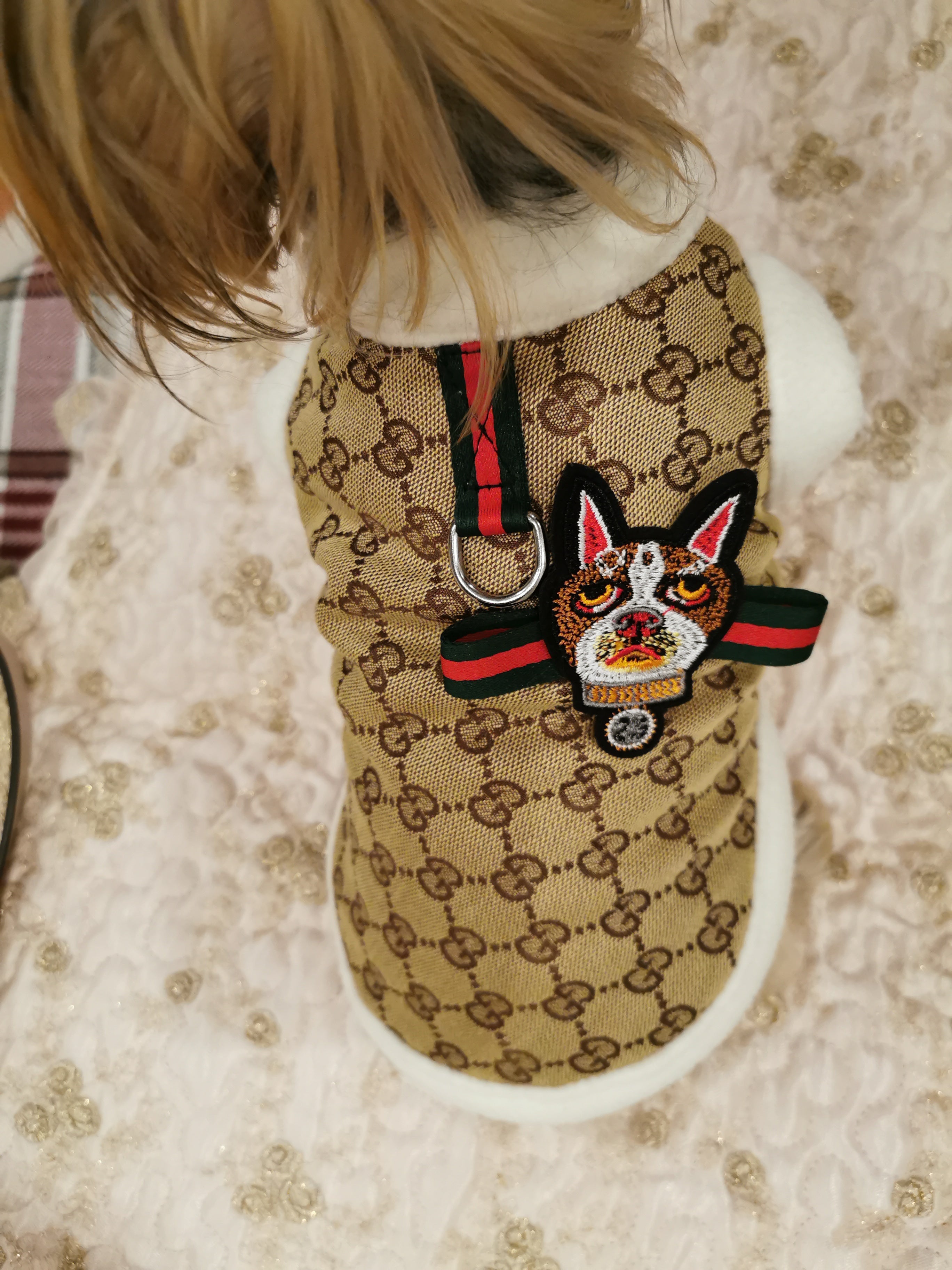 Veste pour chien Gucci | 2024