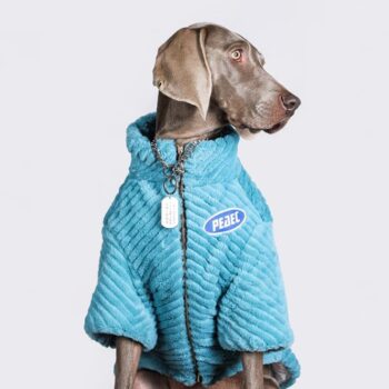 Vêtements Grands Chiens | 2025