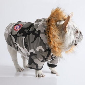 Veste pour chien Canada Goose | 2024