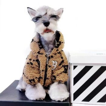 Sweat à capuche pour chien Burberry | 2024