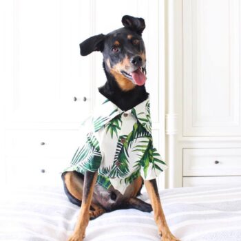 Chemise hawaienne pour chien - 2025 - Vêtement et accessoires pour chiens - Doglovedesign