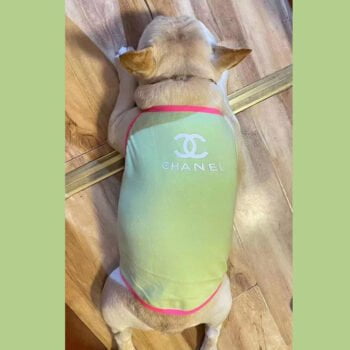 Gilet sans manches pour chien Chanel | 2024