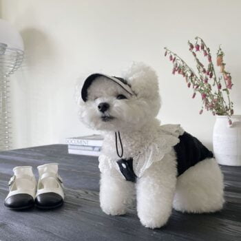 Robe pour chien Chanel | 2024