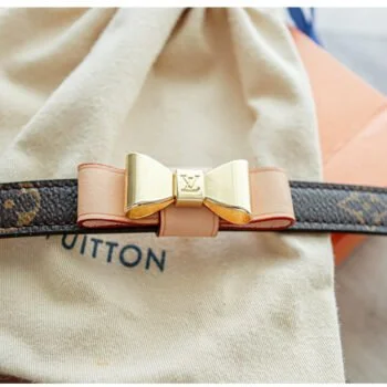 collier pour chien louis vuitton baxter monogram