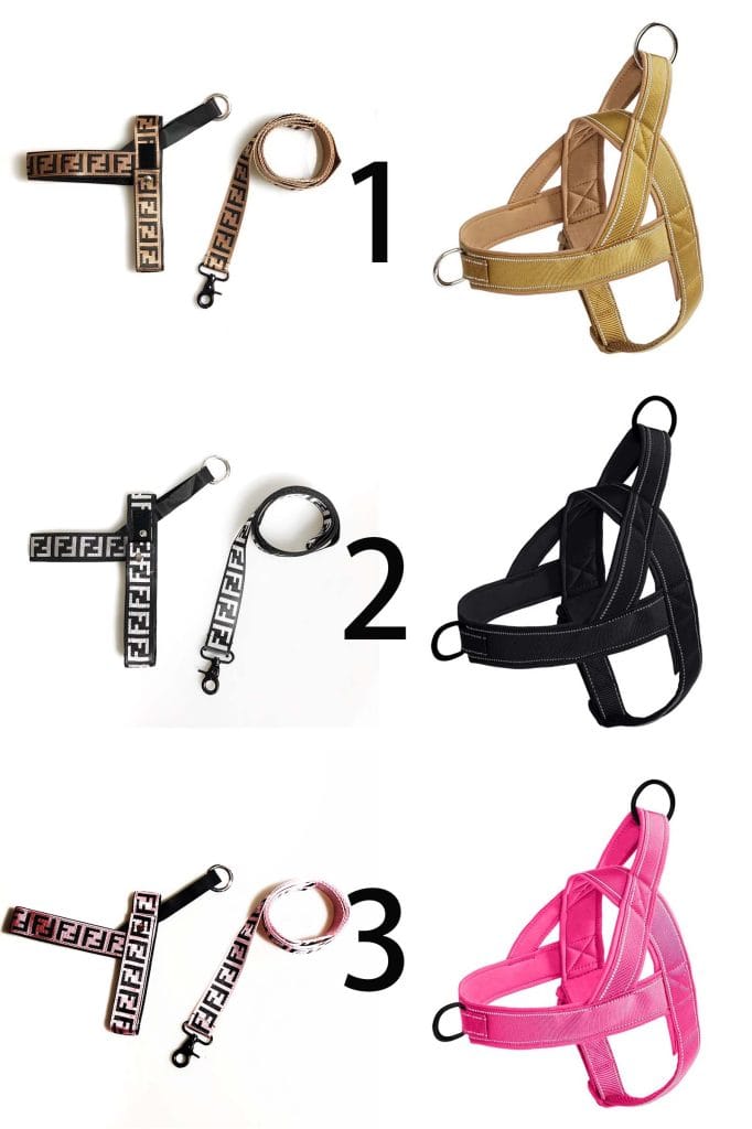 Laisse et Harnais Fendi Noir et Blanc - Élégance Canine - 2025 - Vêtement et accessoires pour chiens - Doglovedesign