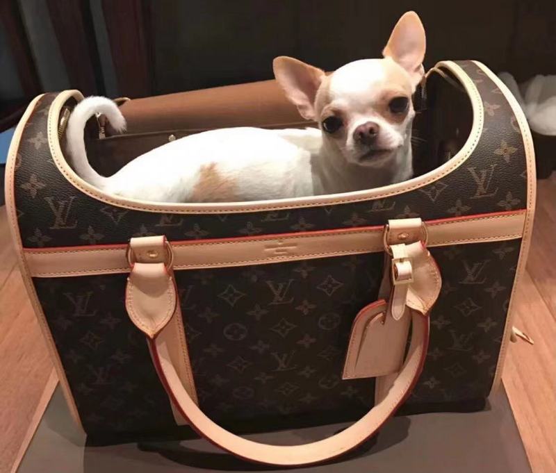 Sac de transport pour chiens Luxe Louis Vuitton | 2023
