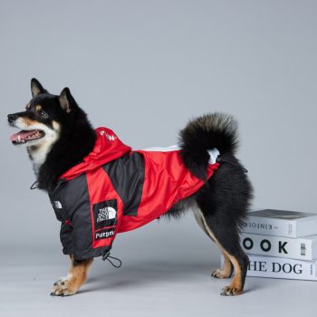 Veste imperméable pour chiens The Dog Face | 2024