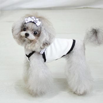 Robe de Princesse Canine Chanel - 2025 - Vêtement et accessoires pour chiens - Doglovedesign
