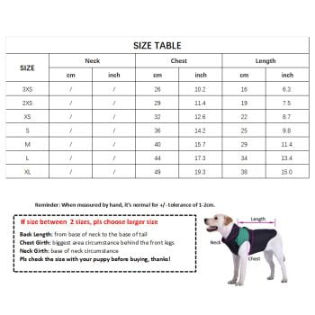 Robe de Princesse Canine Chanel - 2025 - Vêtement et accessoires pour chiens - Doglovedesign