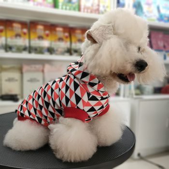 Sweat à capuche pour chiens Prada | 2024