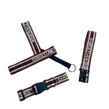 Ensemble Collier, Laisse et Harnais Dior en Nylon pour Chiens - Chic et Pratique - 2025 - Vêtement et accessoires pour chiens - Doglovedesign