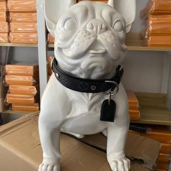 Ensemble de laisse et collier personnalisé de luxe pour petits chiens - 2025 - Vêtement et accessoires pour chiens - Doglovedesign