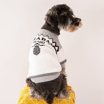 Pull pour petits chiens design Prada | 2025