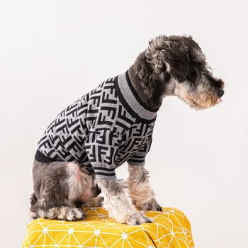 Pull pour chiens Fendi | 2024