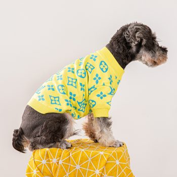 Pull jaune pour chiens Vuitton LV | 2024