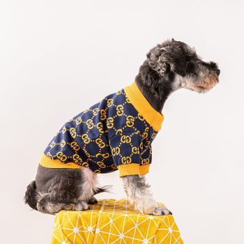 Pull pour chiens bleu et jaune Pawcci - 2025 - Vêtement et accessoires pour chiens - Doglovedesign