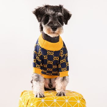 Pull pour chiens bleu et jaune Pawcci - 2025 - Vêtement et accessoires pour chiens - Doglovedesign