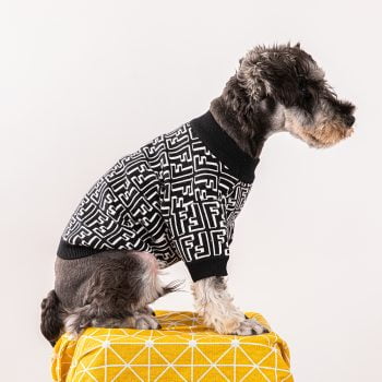 Pull Laine pour chiens Fendi noir - 2025 - Vêtement et accessoires pour chiens - Doglovedesign
